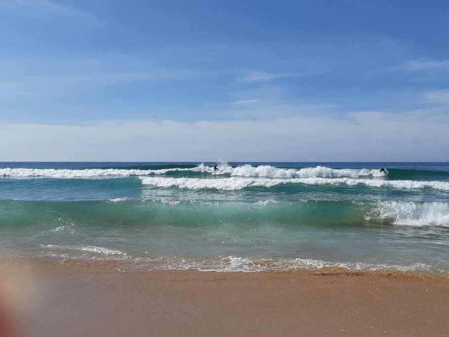 Apartment A 150m De La Playa Wifi Gratis Dénia